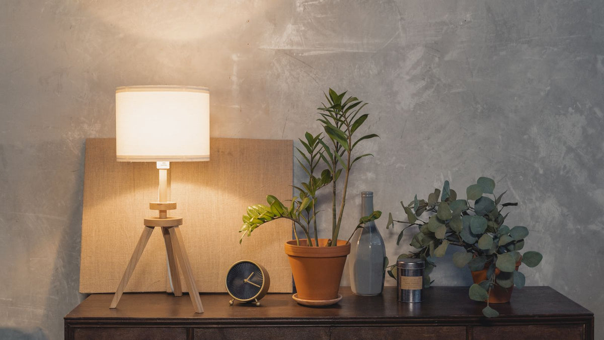 Lampe à poser allumée sur une console avec des plantes vertes